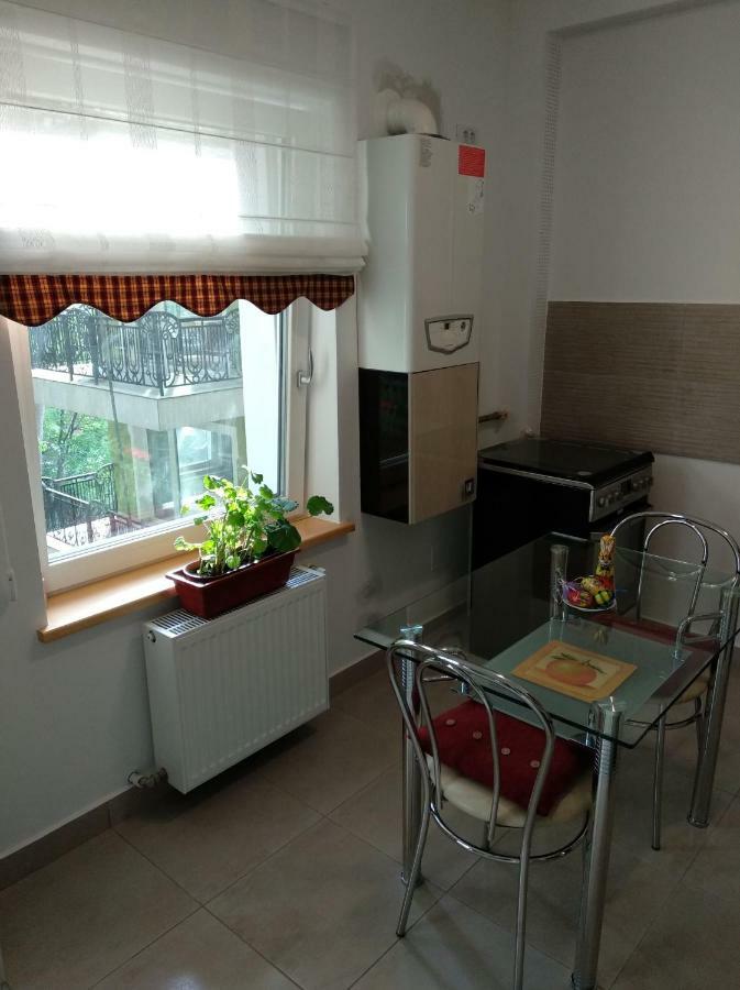 Apartament Ramona Apartment Brasov Bagian luar foto