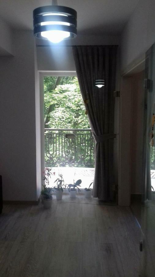 Apartament Ramona Apartment Brasov Bagian luar foto